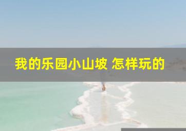 我的乐园小山坡 怎样玩的